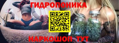 прущие грибы Ипатово