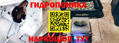 эйфоретик Ирбит