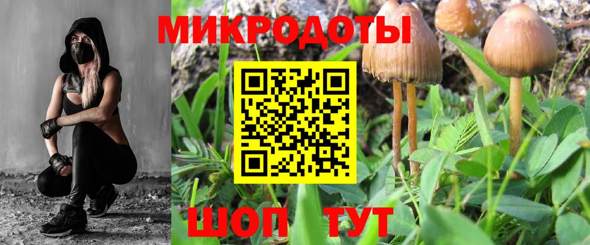 Псилоцибиновые грибы GOLDEN TEACHER Курчалой
