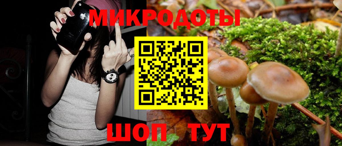 Галлюциногенные грибы мухоморы  Вход с VPN  Курчалой 